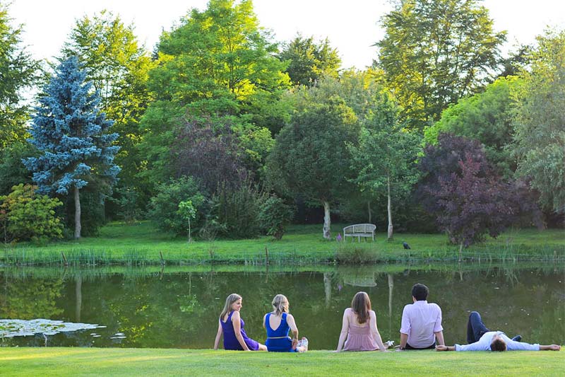 English gardens wedding in Cambridge - Suffolk