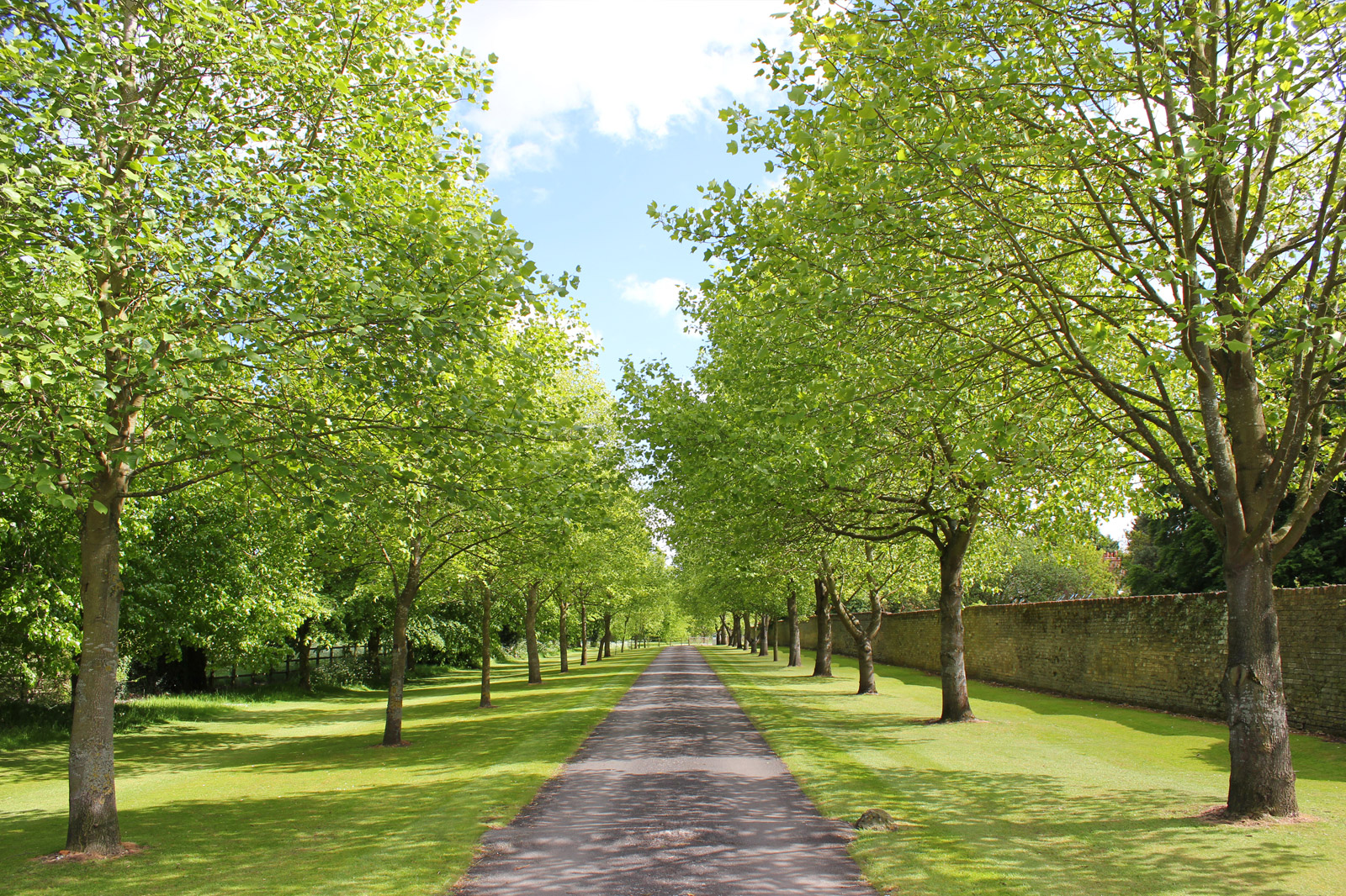 Chippenham Park
